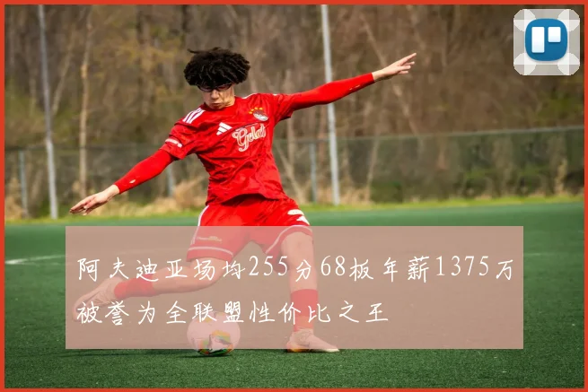 阿夫迪亚场均255分68板年薪1375万被誉为全联盟性价比之王